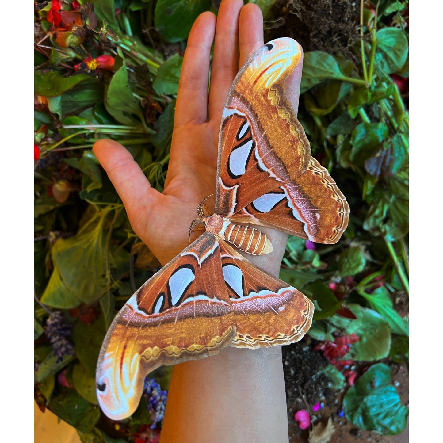 'Atlas' Moth Paper Replica