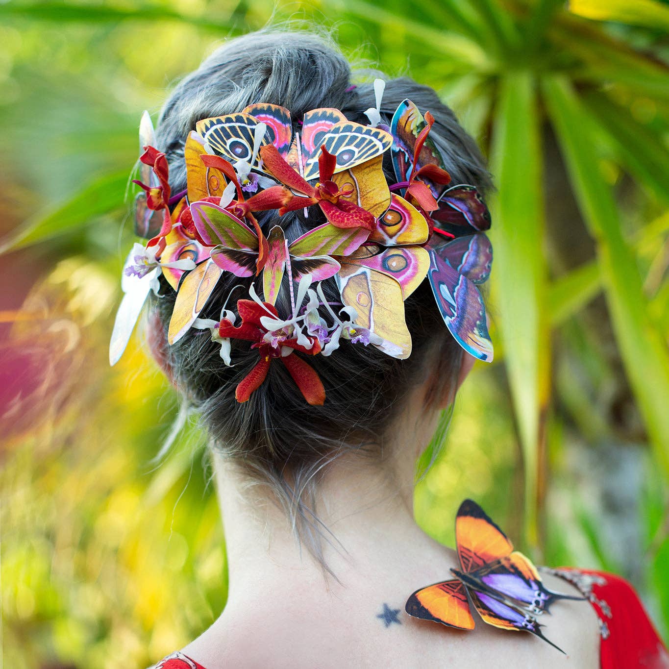 'Amber' Atlas Moth Set