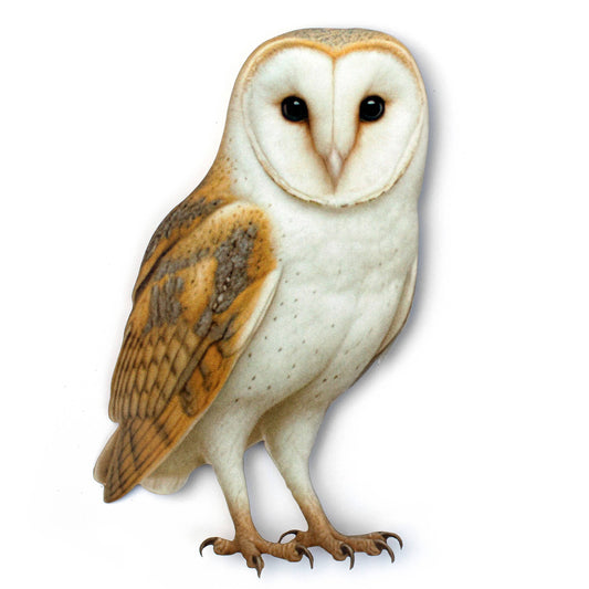 Large Paper Barn Owl