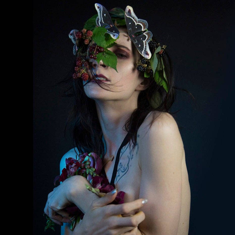 'Winter' Caletta Moth Set