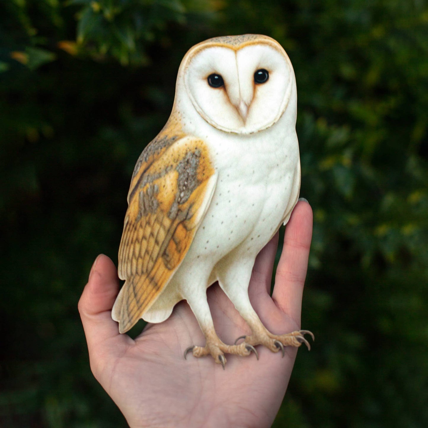 Large Paper Barn Owl