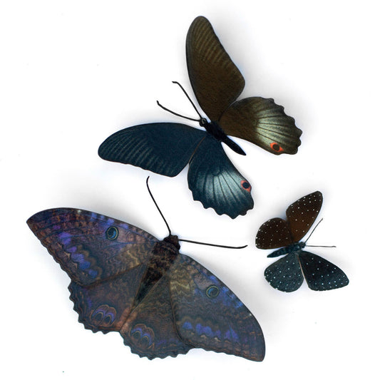 'Spellbound' Paper Witch Moth and Butterfly 3 Piece Set