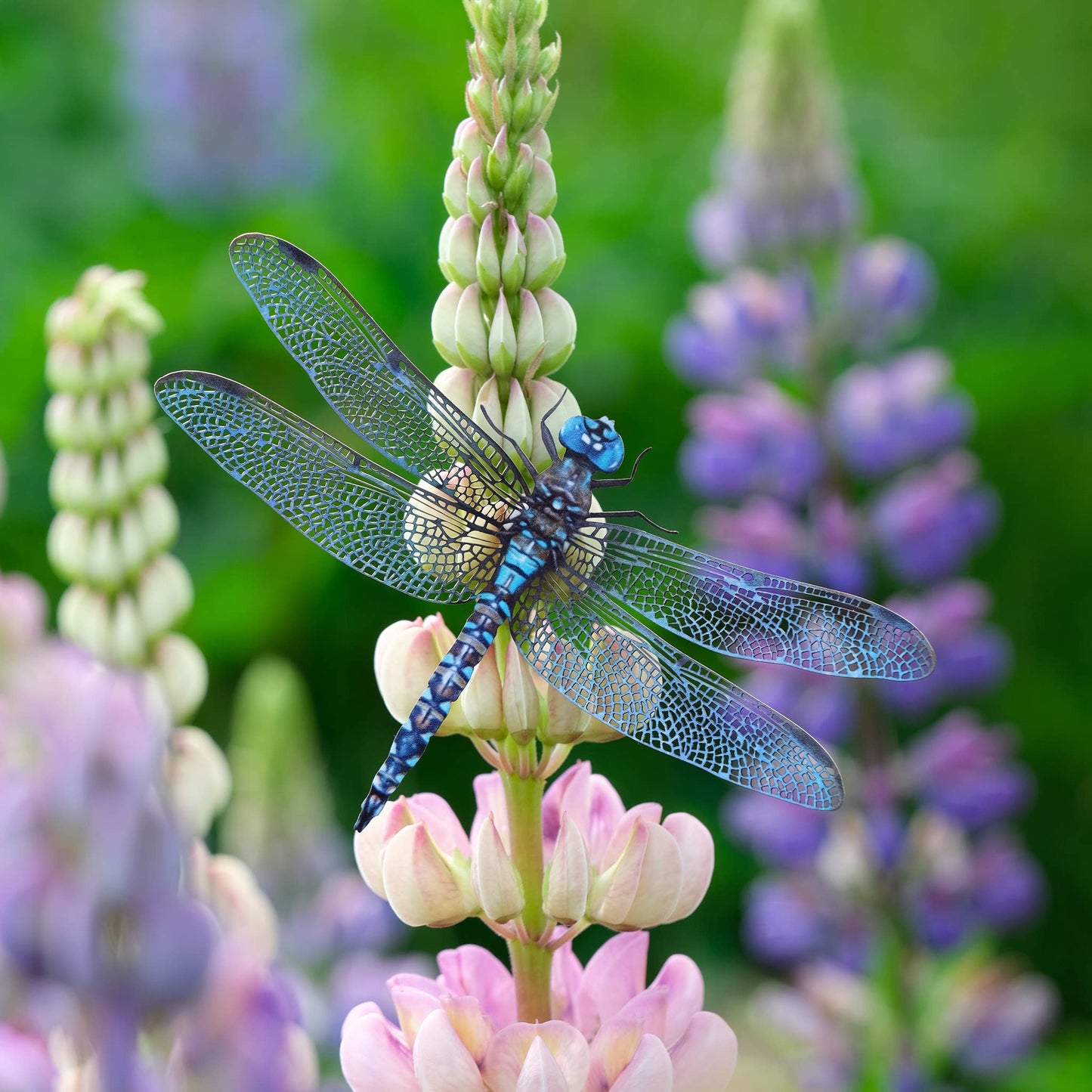 'Aerial' Dragonfly 3 Piece Set