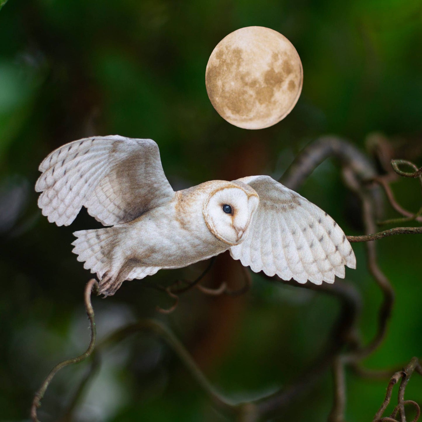 'Lunar Veil' Paper Barn Owl 3 Piece Set