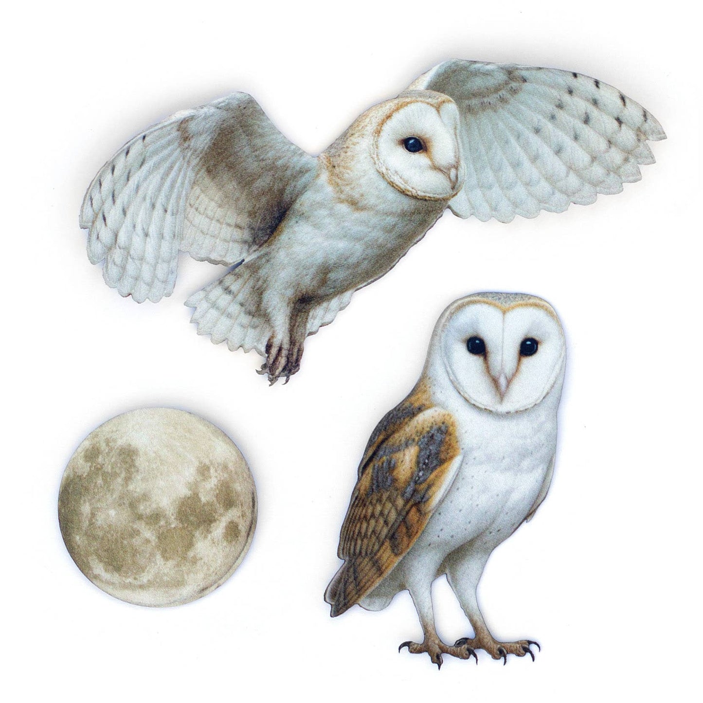 'Lunar Veil' Paper Barn Owl 3 Piece Set