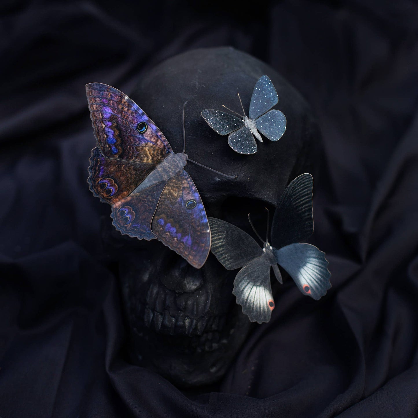 'Spellbound' Paper Witch Moth and Butterfly 3 Piece Set