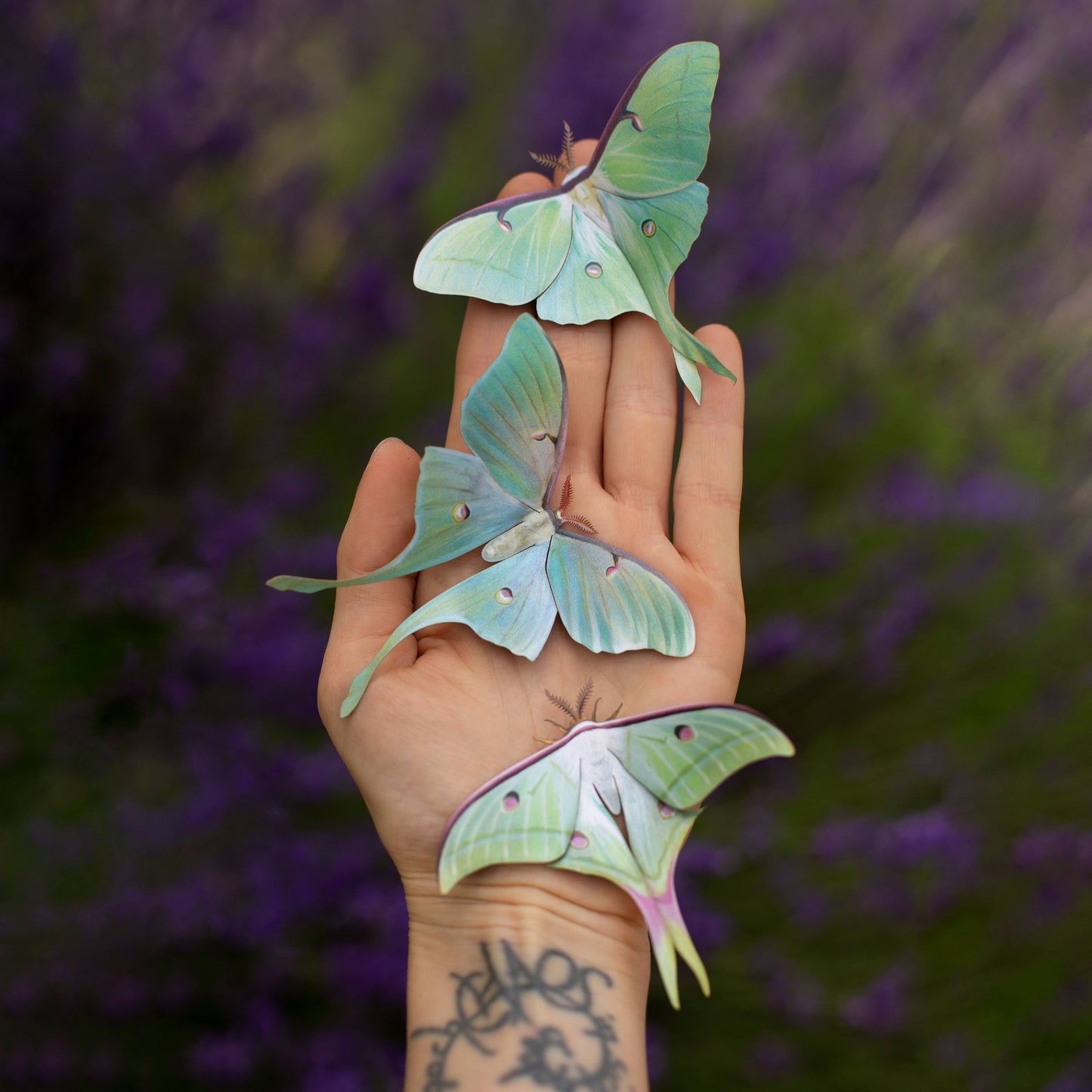 'Moonwake' Luna Moth Set