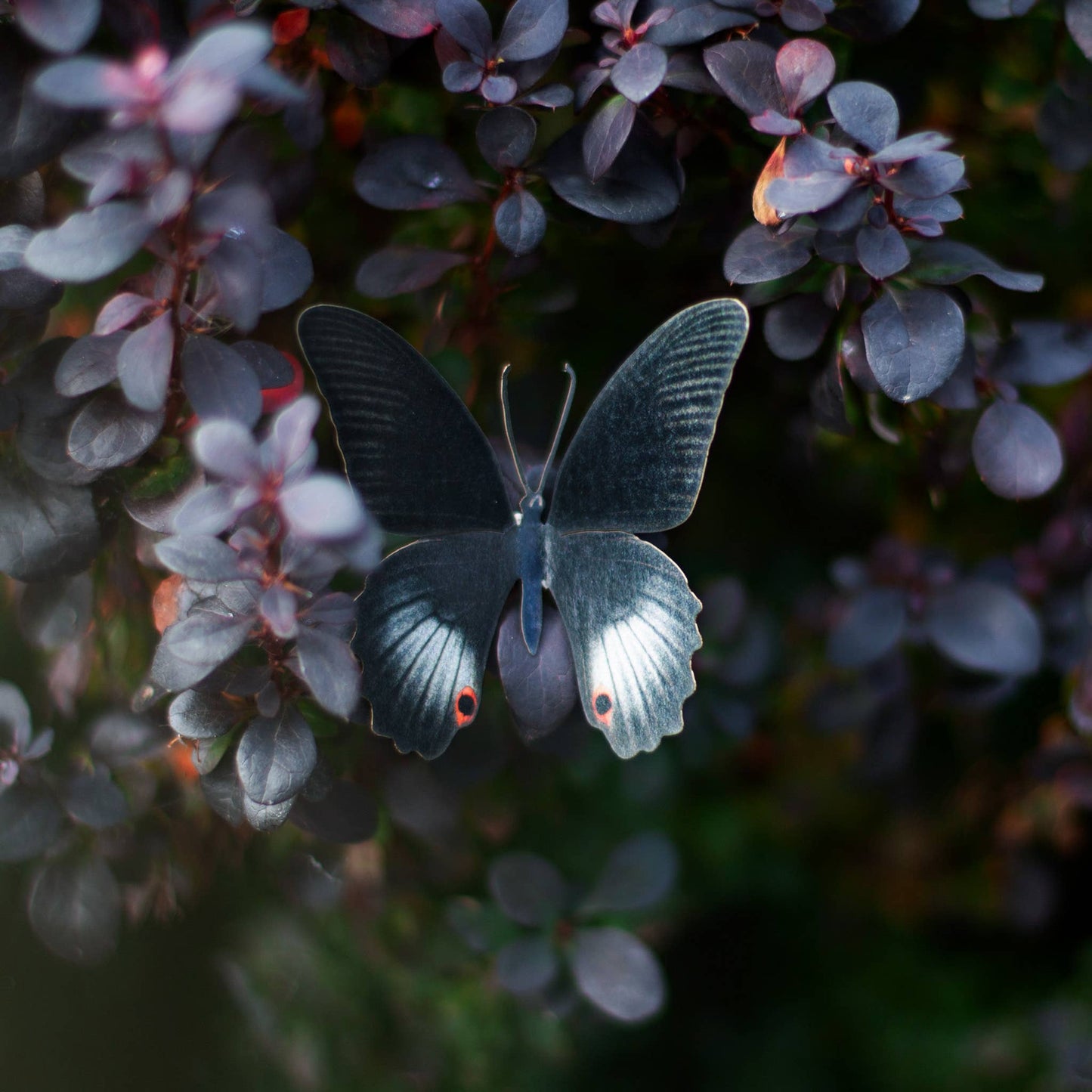 'Spellbound' Paper Witch Moth and Butterfly 3 Piece Set