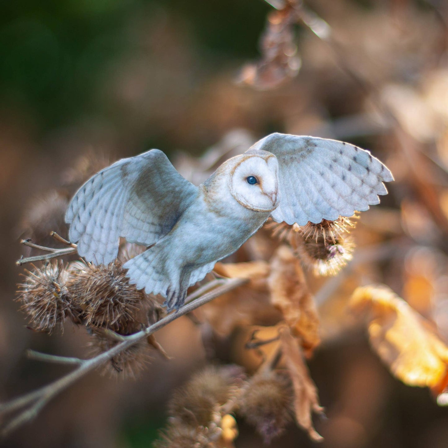'Lunar Veil' Paper Barn Owl 3 Piece Set