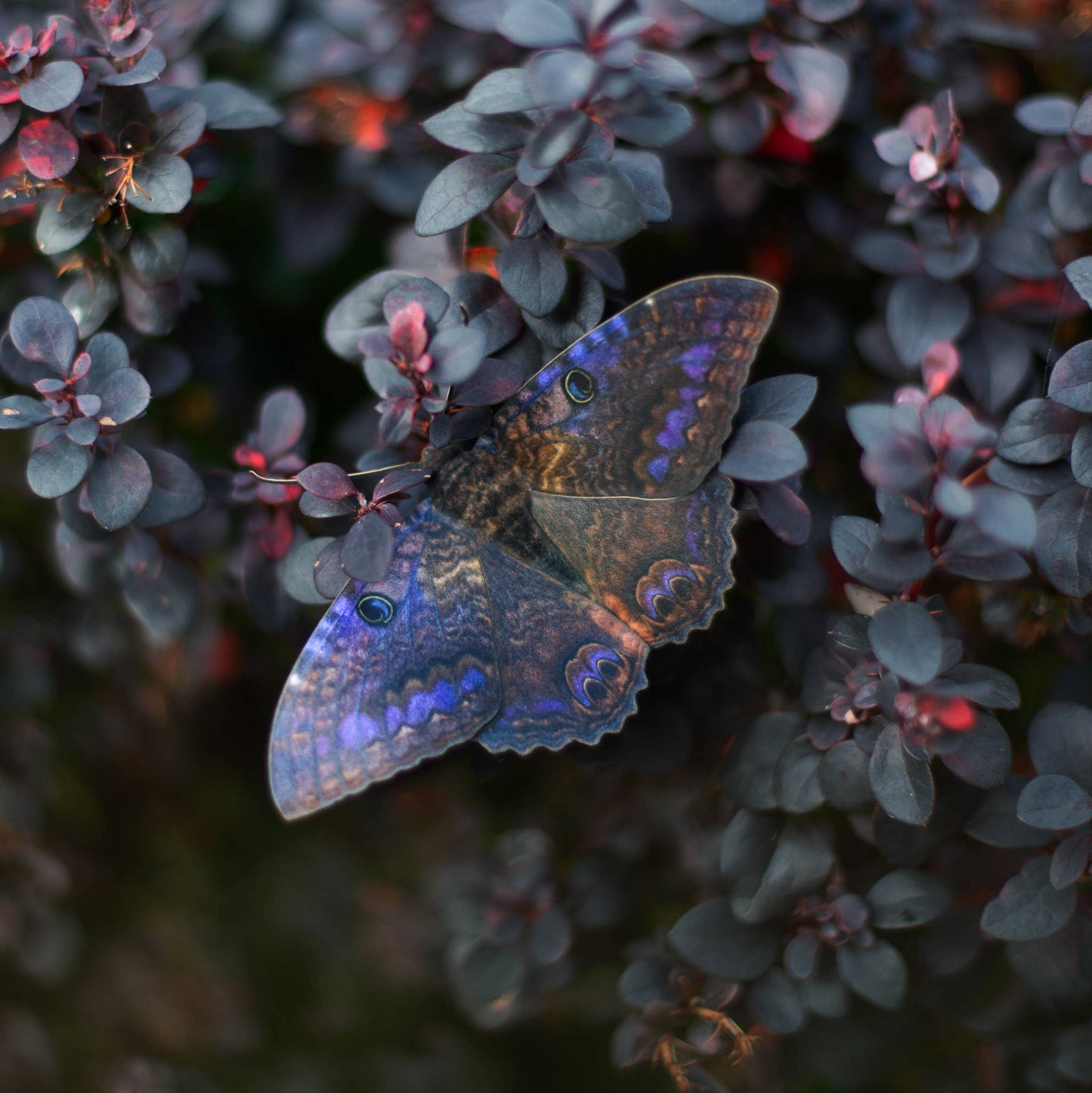 'Spellbound' Paper Witch Moth and Butterfly 3 Piece Set