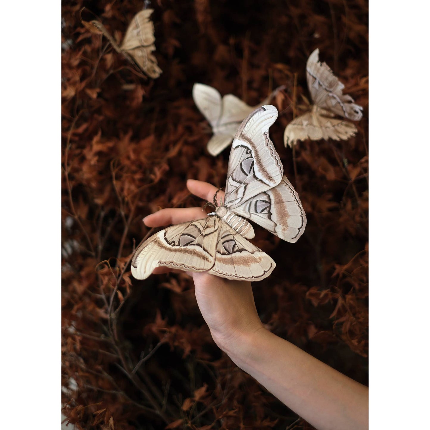 'Ghost Atlas' Moth Paper Replica