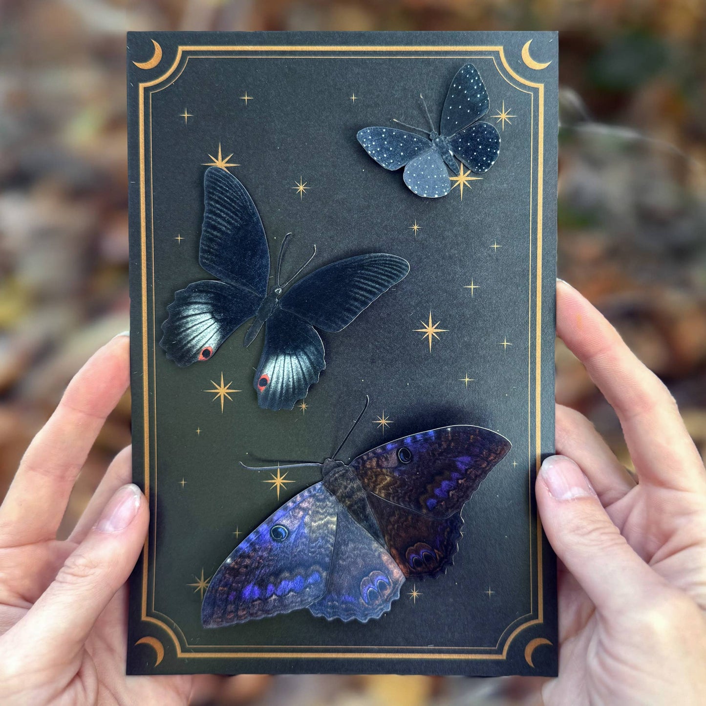 'Spellbound' Paper Witch Moth and Butterfly 3 Piece Set