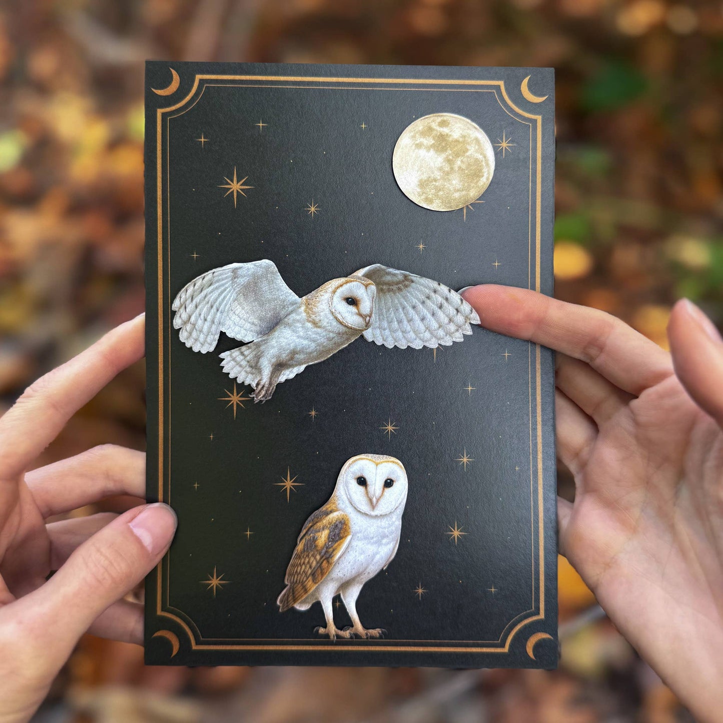 'Lunar Veil' Paper Barn Owl 3 Piece Set