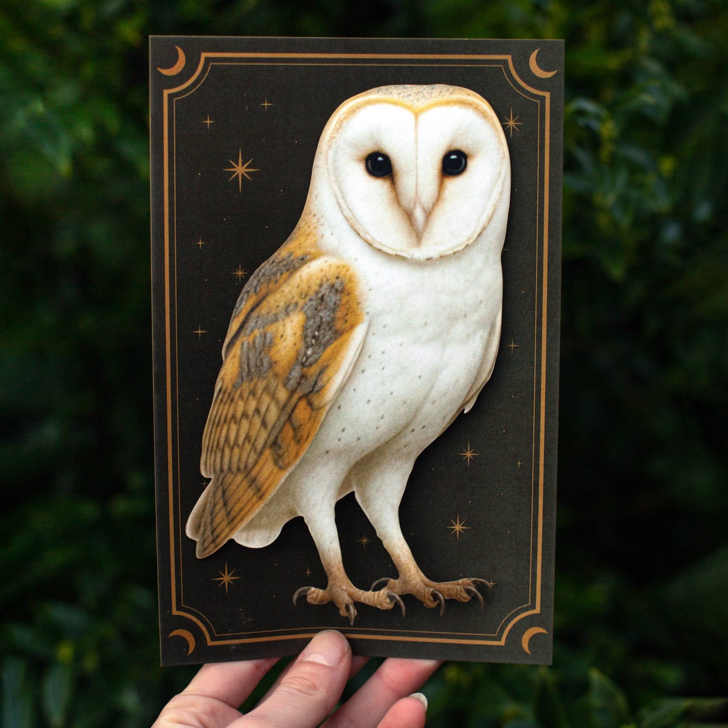 Large Paper Barn Owl