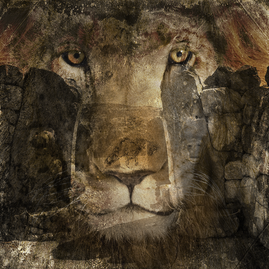 Triple Eight Lion’s Gate Manifestation Workshop